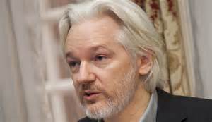 assange hearing updates